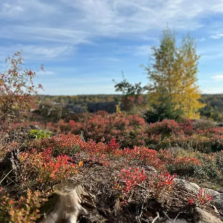 Son View Vestby (Akershus)