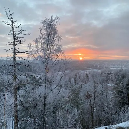 Son View 度假居