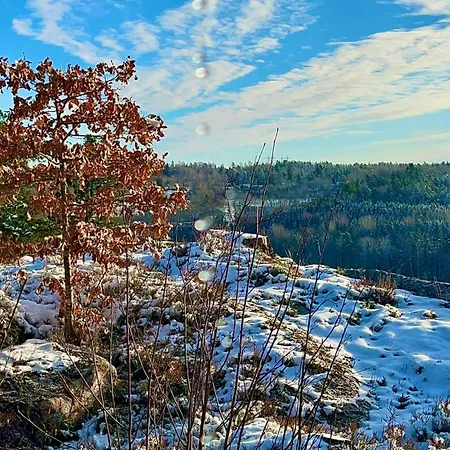 Son View 別荘 Vestby