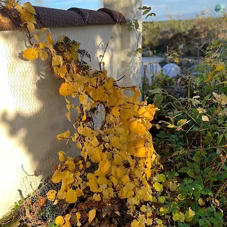 別荘 Son View Vestby