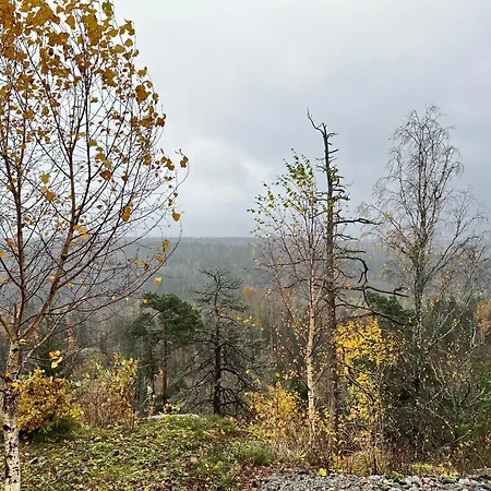 Son View 度假居