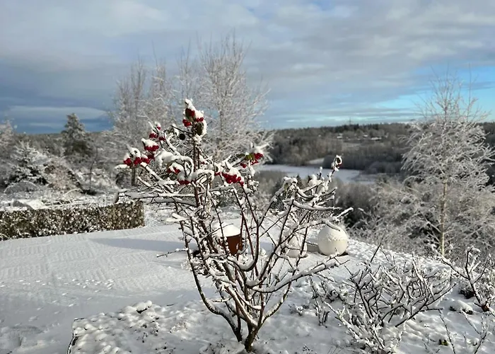 Vakantiehuis Son View *